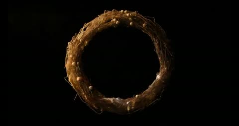 ReWeave — frame 5